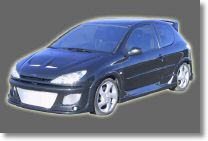 Peugeot 206 NATAN.jpg