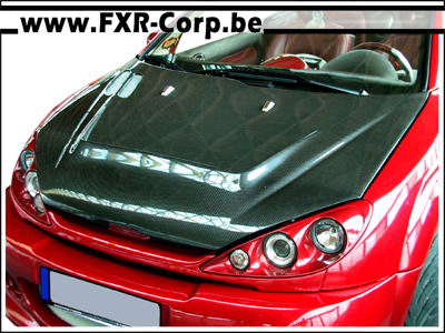 Capot Carbone peugeot 206 CT -TCP6361-.jpg